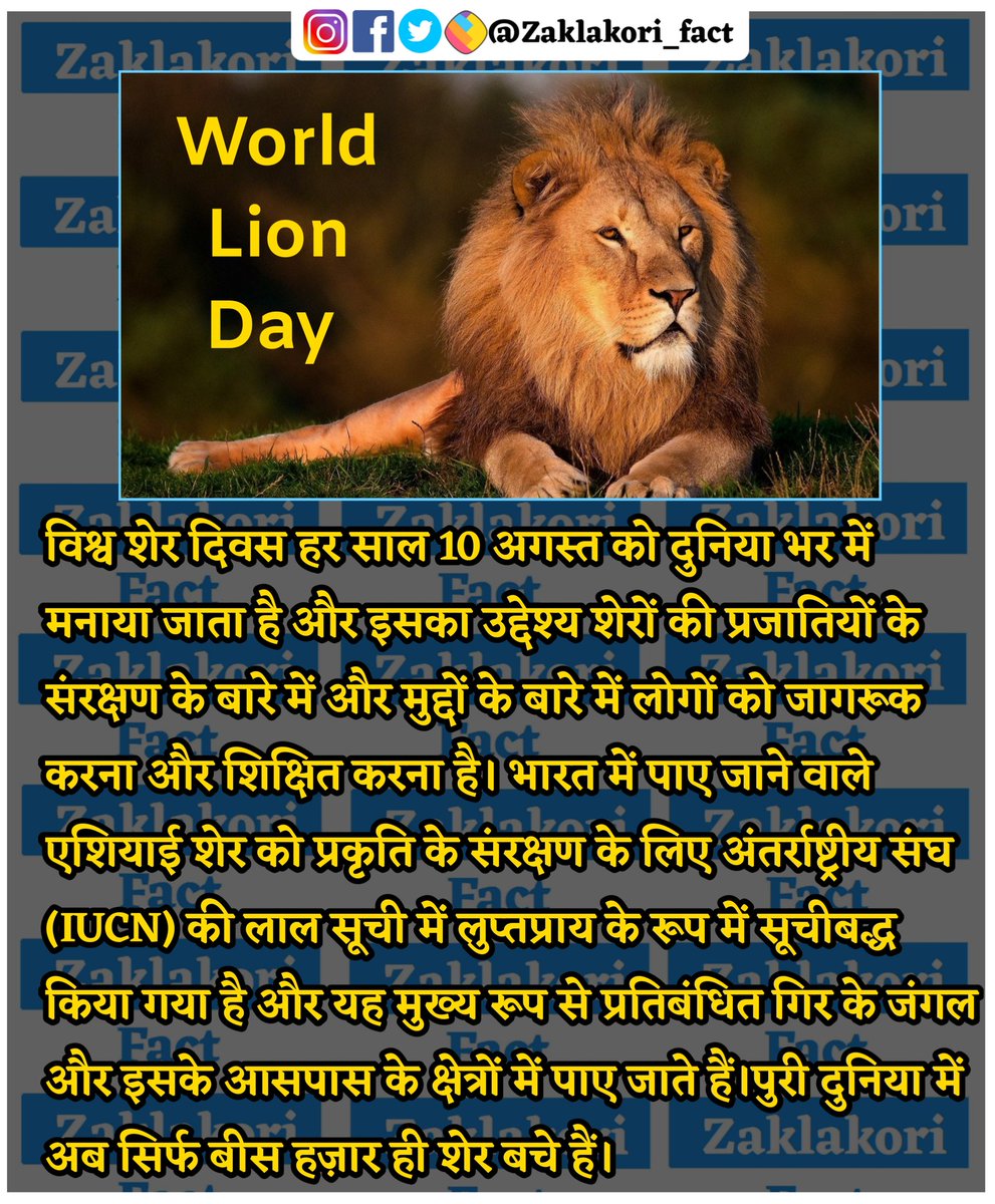 To know more interesting facts about india and World follow us @zaklakori_fact 
.
.
.
#WorldLionDay #LionDay #savelions #Protectlions #knowledgeispower #Facts