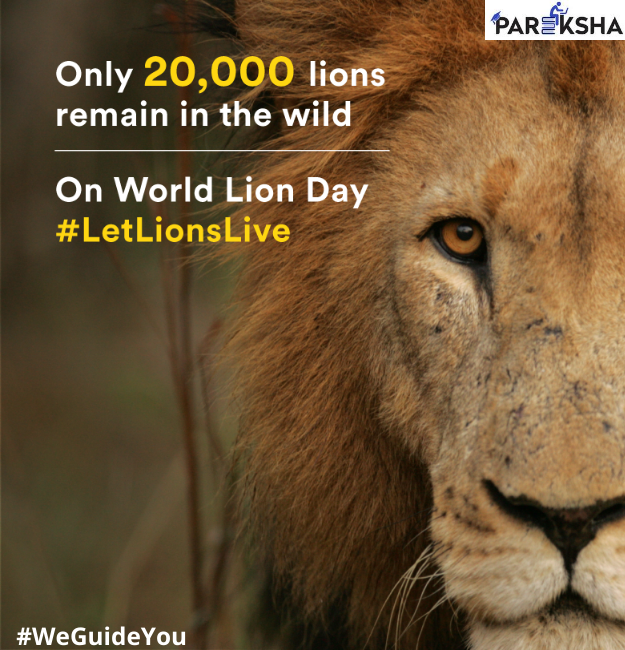 parekshaapp's tweet photo. Every day is an important day for #Lion conservation, but today we ask that you acknowledge the importance of lions culturally and symbolically #worldwide.

#Pareksha #WeGuideYou #ParekshaAcademy #ExamGuide #King #LionDay #WorldLionDay https://t.co/wuqZr04zUE