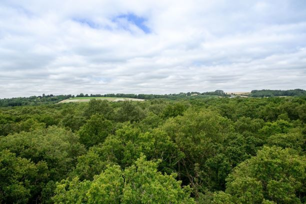 RobJLeader's tweet image. Tackling #climatechange requires radical thinking and @VodafoneUKBiz #IOT sensors will help scientists to estimate the contribution of trees to climate change mitigation. Find out more: bit.ly/3gLcyY7