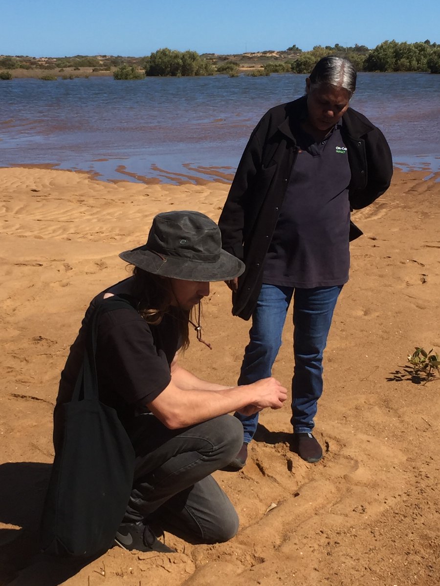 NLEGroup's tweet image. As part of the Yoordaninj-bah Project, NLE held a bush food workshop at the Gwoonwardu Mia centre in Carnarvon of Friday 7 August with local people. Attendees were treated to a delightful lunch of bush food prepared by Paul Iskov (Fervor). #bushfood