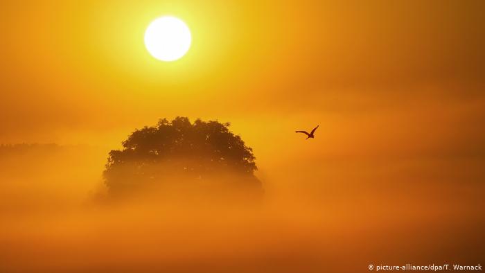 dw_espanol's tweet photo. La imagen del día: 
Amanecer en Baden-Württemberg

Tras uno de los fines de semana más calurosos en muchas zonas de Alemania, las temperaturas dan un respiro, como en este amanecer en Riedlingen. Pero la previsión advierte: el calor va a continuar. (lgc)
https://t.co/Az9ZGtSf1q https://t.co/BIgIw7QiHR