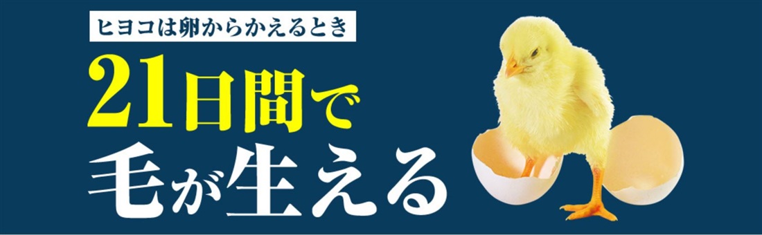 剤 ひよこ 育毛 ニューモ育毛剤の解約方法は簡単？購入する前に確認したい口コミと効果