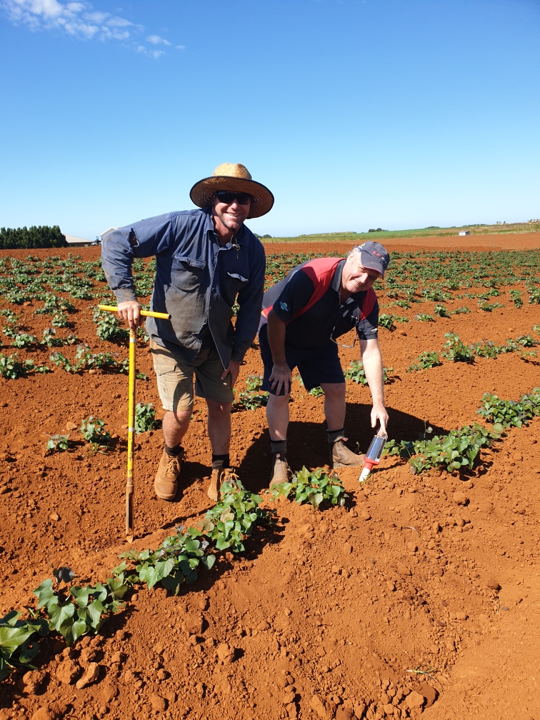 Why are these two grinning like Cheshire cats? They just found out how easy it is to install our #GreenBrainLoggers 

#soilmoisturemonitoring
#GreenBrain
#sweetpotato
greenbrain.net.au