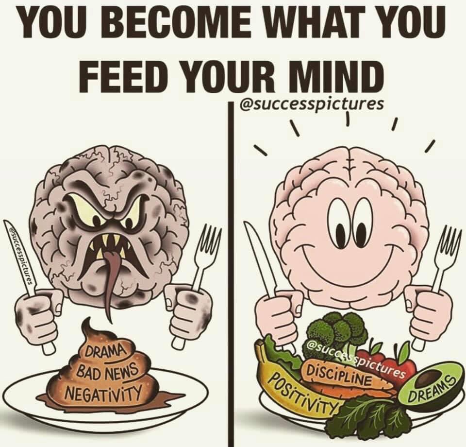 Mindsetandmeuk's tweet photo. Monday Motivation 

What are you feeding your mind?
What are you feeding your children’s minds?

#earlybiz #mondaythoughts #teacher5oclockclub https://t.co/UYn3BibE88