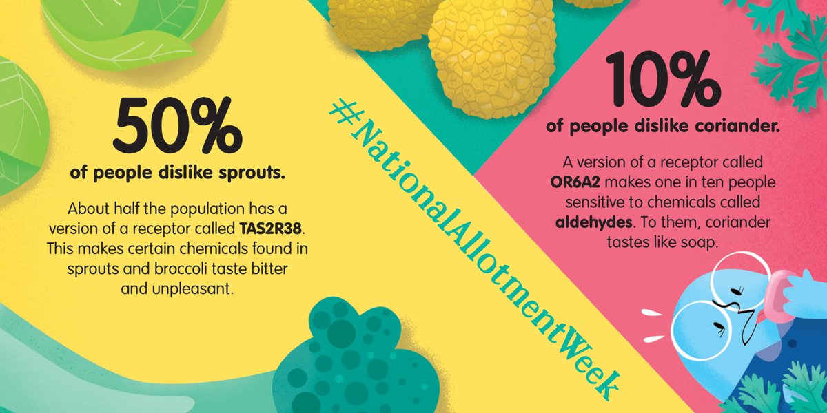 UsbornePartners's tweet photo. Did you know that this week is #NationalAllotmentWeek? What a perfect excuse to learn more about our food and where it comes from! Check out the #Quicklinks for #100ThingstoKnowAboutFood to discover more. https://t.co/oe1roc1O7x 🌽#funfacts https://t.co/7ybpHwUHim