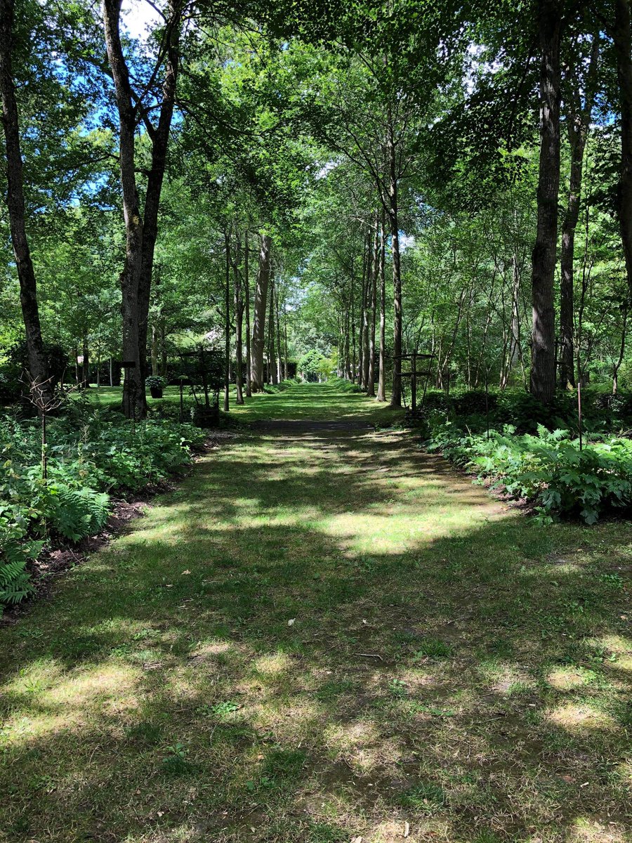 CentreQuestion's tweet photo. Le domaine de Poulaines, véritable havre de paix qui a traversé les époques, est a découvrir cette semaine 🌳 ⛲ 🍃 🏰 🌿

Pour voir la vidéo, c'est ici ➡️
https://t.co/MfByhva4Lg

#CetEteJeVisiteLaFrance 
#CetEteJeVisitelIndre 
#Indre #Berry #Poulaine https://t.co/ucqa5QHn0b