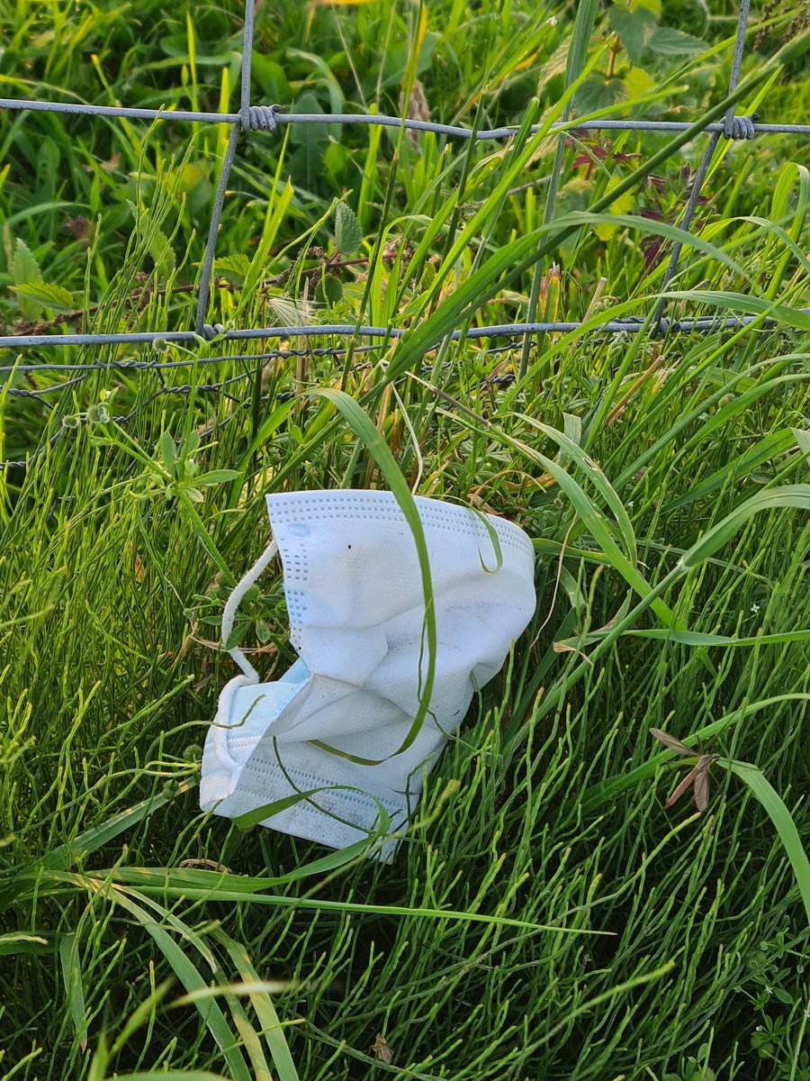 Twitt_twoo92's tweet photo. The things I don't like to see on my walk. So so many of these 🙄#Bolton #2020 #COVID19 #KeepBritainTidy #MakeADifference @KeepBritainTidy https://t.co/Uy1EYOPIOz