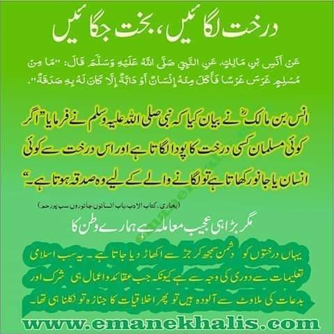 Bandi_Allah_ki's tweet photo. #TreePlantation https://t.co/qqs8GjOLy8