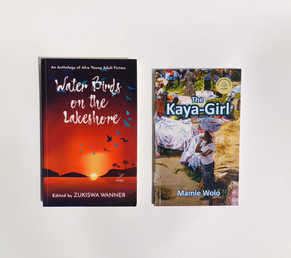 Promote the love for reading African literature in schools and communities. 
Happy New Week!
#bookstagram #projectlitbookclub #justreadit #projectlitcommunity