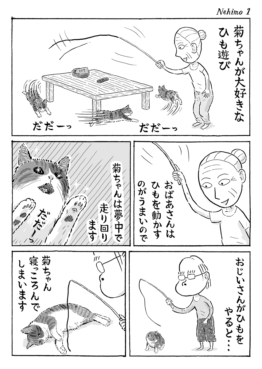 2ページ猫漫画「寝っころがって」 #猫の菊ちゃん 