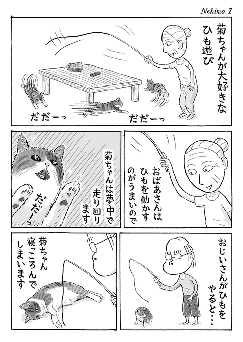 2ページ猫漫画「寝っころがって」 #猫の菊ちゃん 