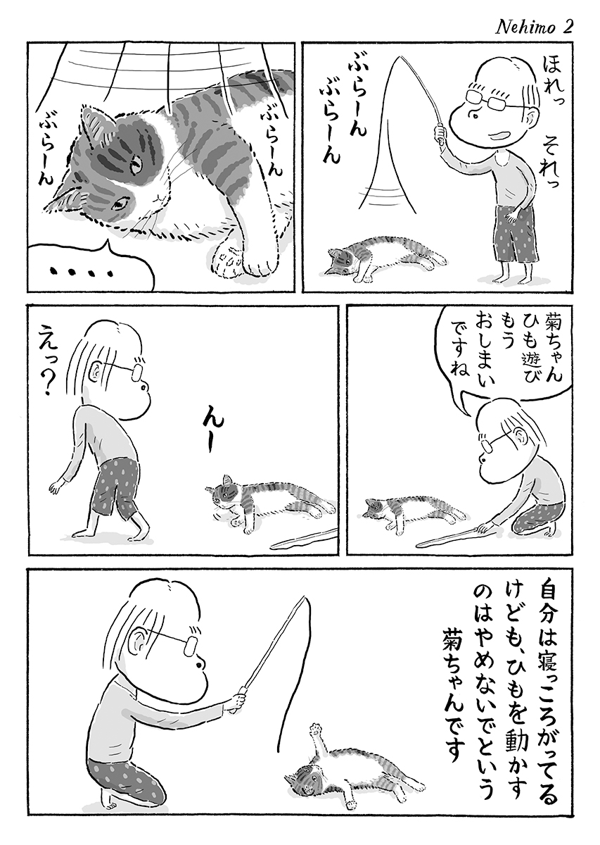 2ページ猫漫画「寝っころがって」 #猫の菊ちゃん 