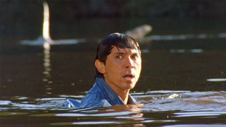 コウメグ 鮫メグ レッド ウォーター サメ地獄 13 15年ぶりにこの映画を観た 覚えてるのはドチザメ メダカの頭 サメの死 後は某劇場のcm オオメジロを ホホジロより危険 とtvで言われてたけど 漁師エミリーが彼を 川の守神 として崇め