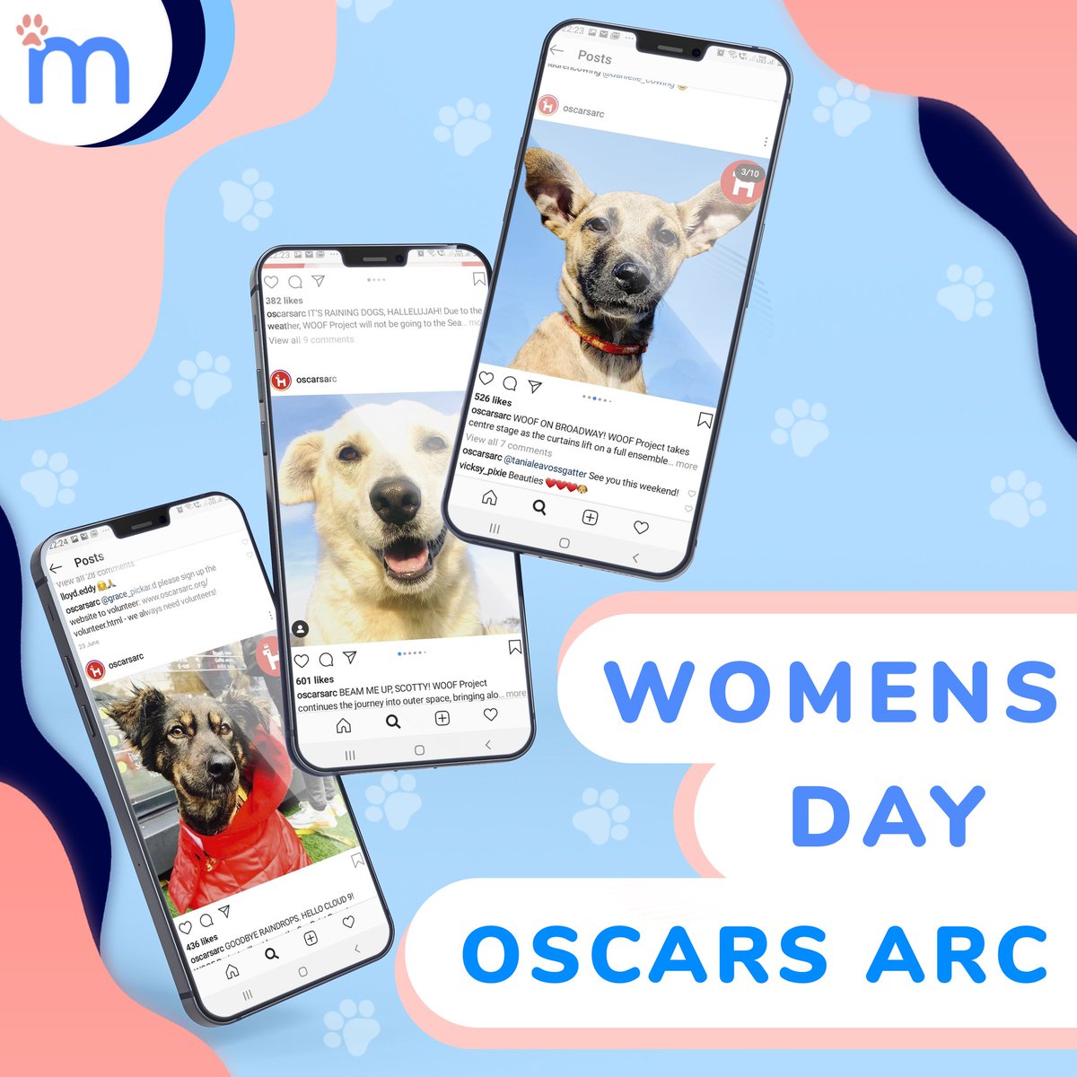 minderzsa's tweet photo. Happy Women's Day Pet Moms 🙌

Why not celebrate this day by adopting a new fur baby? The WOOF Project has some fierce girls looking for a forever home...

Have a look at all the wonderful pooches looking for their forever home here: https://t.co/YxqIT0Y4bh 

See you there! https://t.co/CcRA22vOlQ