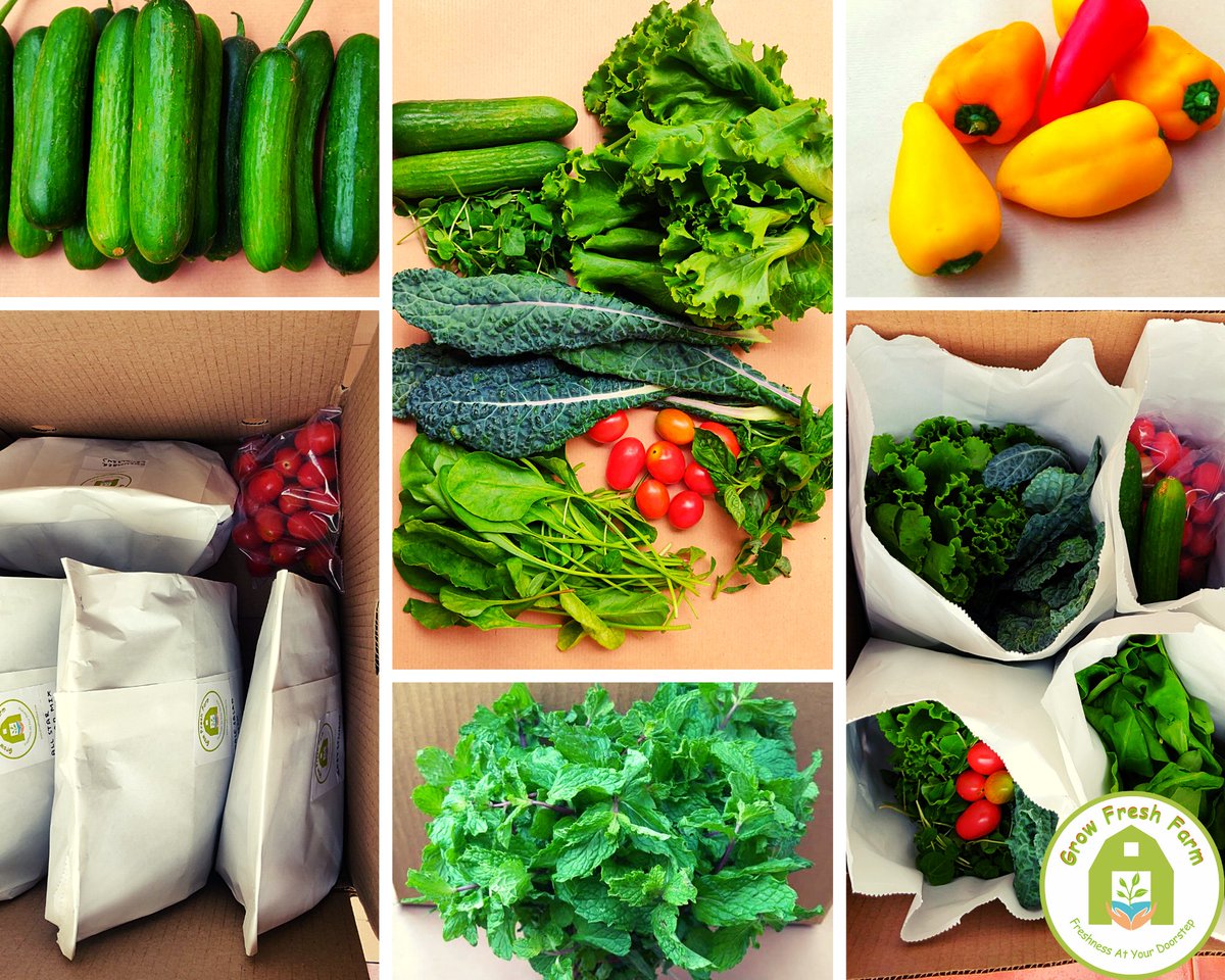 growfresh_farm's tweet photo. We are ready to deliver! #Order our farm fresh #chemicalfree vegetables today.
Visit - https://t.co/Wie45maNCs
#onlineshopping #onlinevegetables #vegetablestore #Vegetable #vegan #HealthyFood #HealthyEating #localproduce #urbanfarm #hydroponic #Bengaluru #freeshipping https://t.co/K74userstL