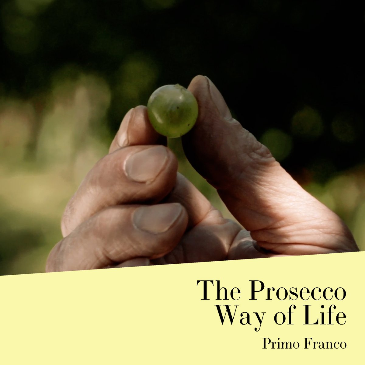 Nino Franco Prosecco tweet media