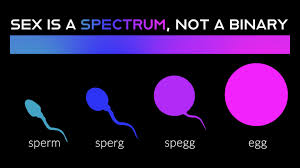 capacity is actually a difference in kind, not a difference of degree.As this diagram makes comically evident.