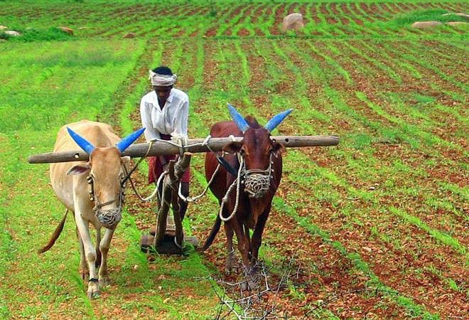 ashokshivaneri's tweet photo. Social Justice for Farmers-
Agriculture is the back bone of the Indian economy.We had 40,000 types of rice varieties,3,500 types brinjals,1000 varieties of Mangoes and list goes on.The nation is indebted to Farmers .Small and Marginal farmers 5/n https://t.co/S0IyMhKi9D