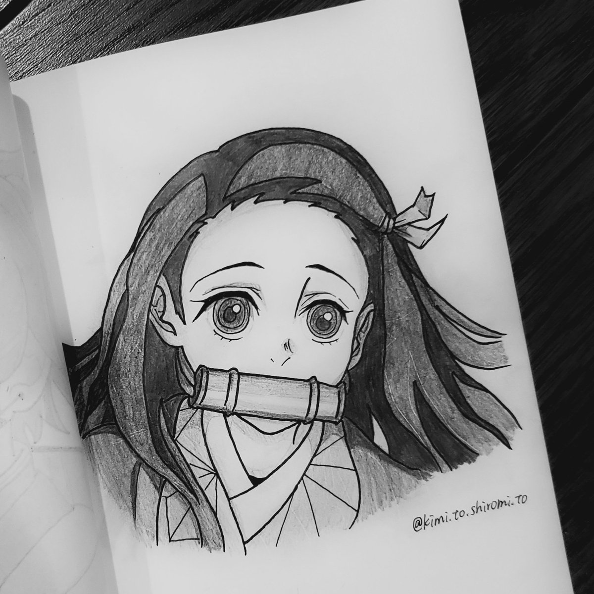 きみとしろみ 汚い模写絵の記録 いつになったら上手くなるんだろ 鬼滅の刃 鬼滅の刃イラスト 模写イラスト 竈門炭治郎 竈門禰豆子 冨岡義勇