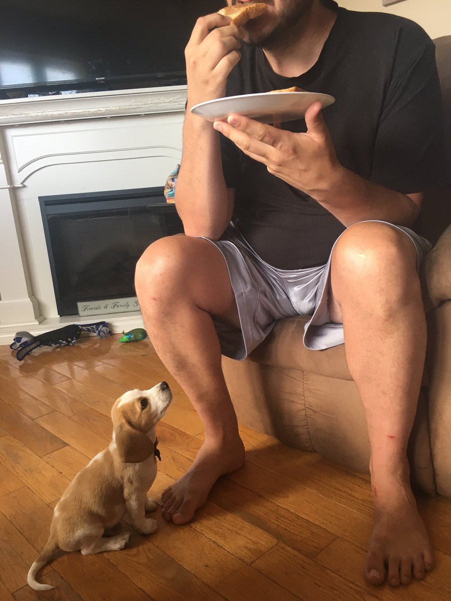 ReeseTheBeagle's tweet photo. Ahhhh estooosee me!?! #pbtoast #myfav #puppydogeyes #beagle https://t.co/VEnZ5z9oMT