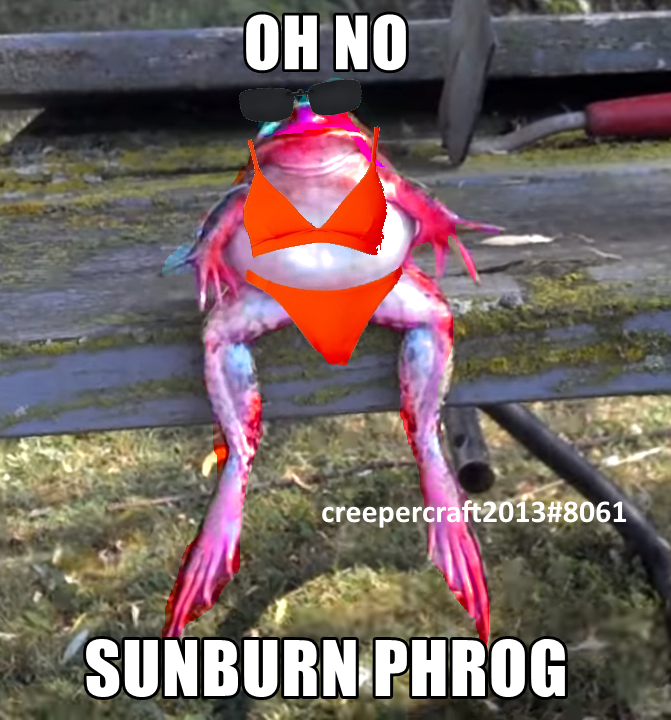 CerealSingle's tweet photo. #PhrogArmy DISCORD: creepercraft2013#8061 https://t.co/cI5dzQAlrJ