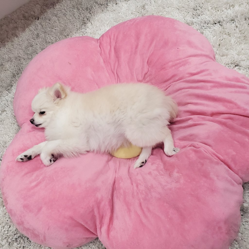 lily🌸 tweet media
