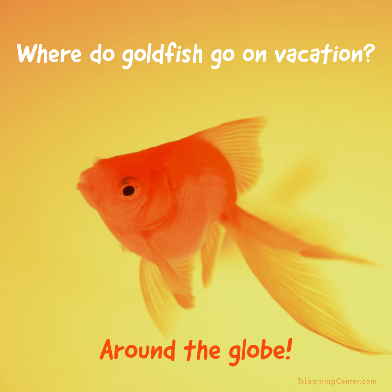 TsLearningCtr's tweet photo. Happy Monday everyone!! Let's start the week off with a little humor! :)
#humor #kidjokes #jax #tslearningcenter #florida #childcare #daycare https://t.co/CTR3EYR27E