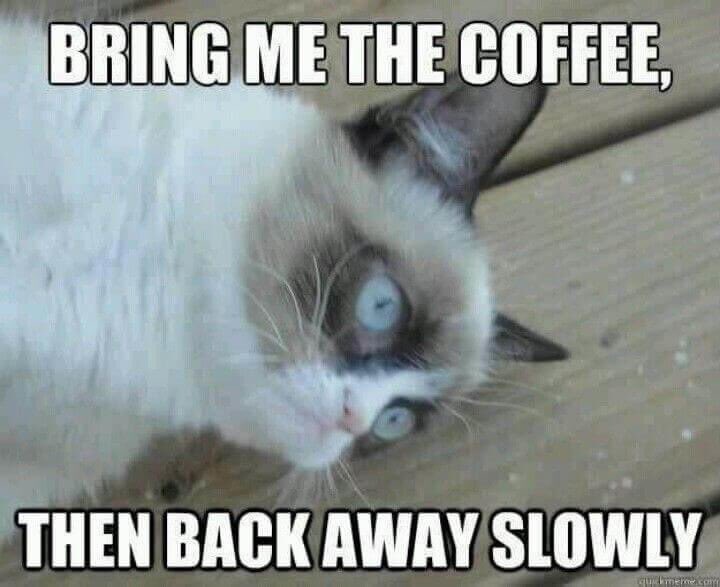 KreativeLane's tweet photo. Good Morning ☕️☕️☕️

#coffeetime #needcoffee #goodmorning #monday #mood https://t.co/ztXoYT6bgw