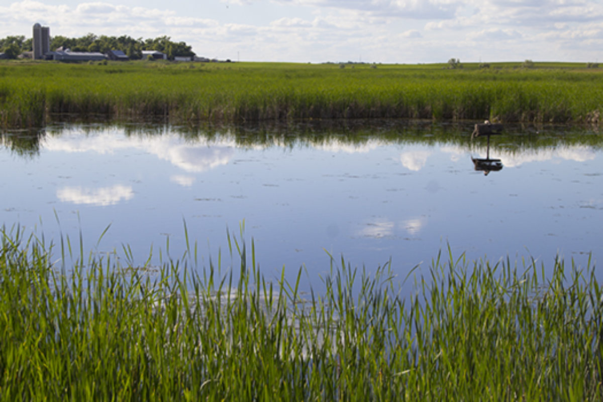 PauldingSWCD's tweet image. CREP isdesigned to address agriculture-related environmental concerns. Participants receive financial incentives from USDA and the state of Ohio to voluntarily enroll environmentally sensitive cropland or pastureland in contracts for a period of 15 years.
pauldingswcd.org/lake-erie-crep/
