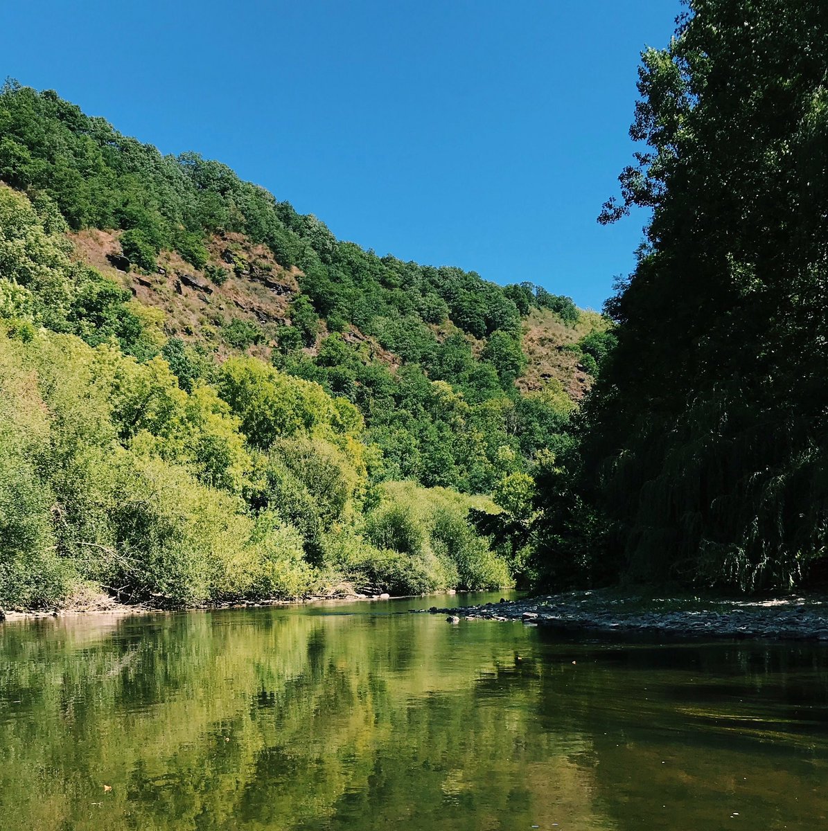 frantasdaddario's tweet image. france 🌿

// #frantasticmonday
@connorfranta //