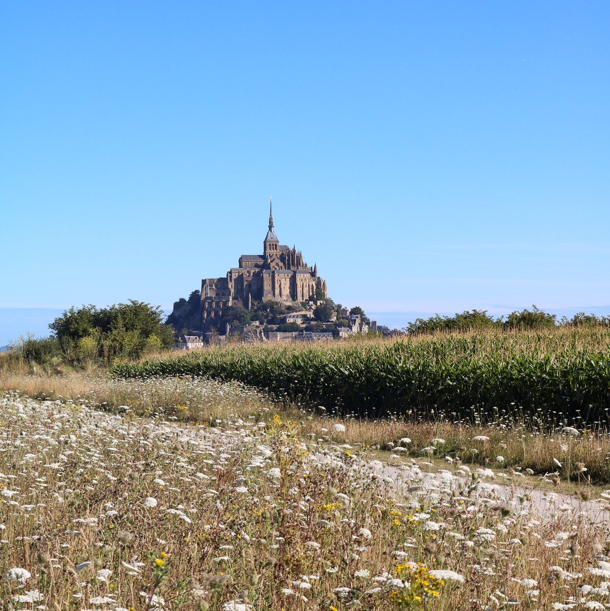 frantasdaddario's tweet image. france 🌿

// #frantasticmonday
@connorfranta //
