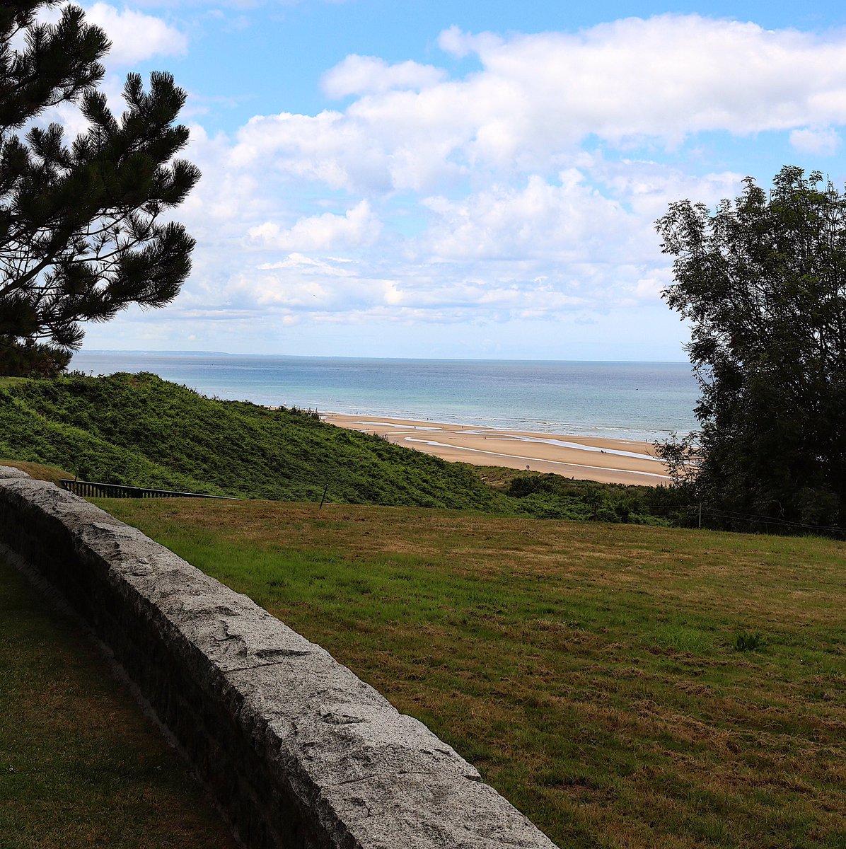 frantasdaddario's tweet image. france 🌿

// #frantasticmonday
@connorfranta //