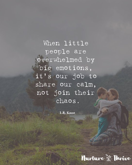 HannahBeachEDU's tweet image. A lovely reminder of the importance of us taking the caring, gentle lead when children are experiencing big emotions.

#emotionalhealth #emotionalgrowth