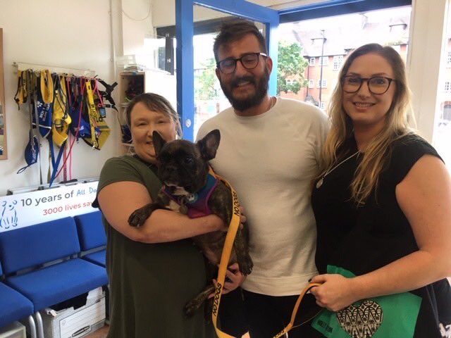 Homemade Dog House Cool Dog Houses Dog Houses Homemade Dog House