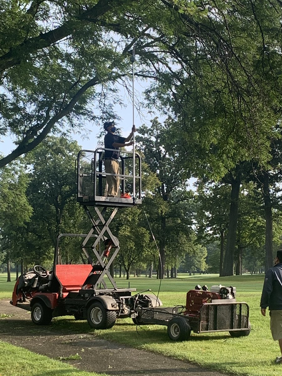 TommyDWitt's tweet photo. Trimming low hanging limbs today https://t.co/B906BVEIrz