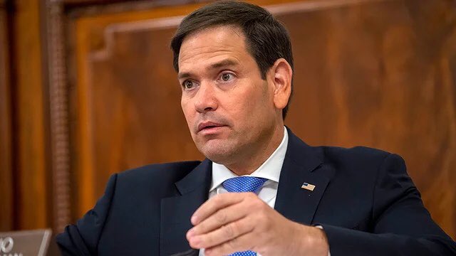 LT 視界 tweet media