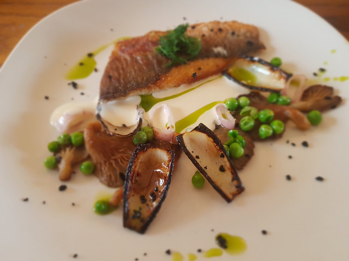 Joel Arnold tweet media