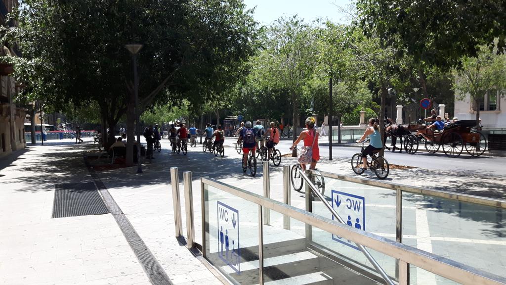 AvJesusPalma's tweet photo. @psoepalma @AV_Santa_Pagesa @AvvSon @avvesmoli @avvsonrapinya @avesforti @PalmaNord @PalmaPonent @Palmaeixample Y mira que nos hemos quejado de este carril bici.... Por lo feo y peligroso. Todavía tenemos la esperanza de que se traslade a la calle paralela. Seguimos pensando que es lo lógico. https://t.co/j6ZEdA8l4g