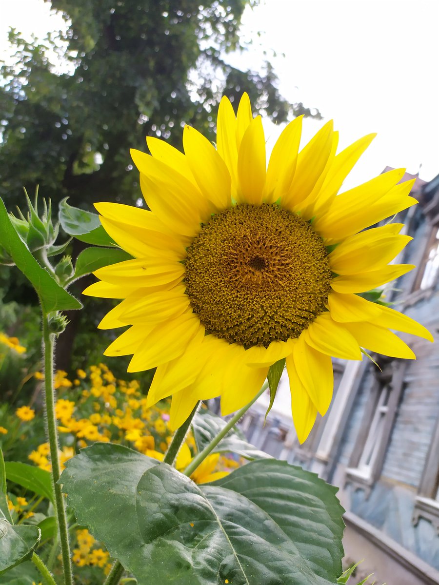 daria_eel25's tweet photo. Even if can't be here every day, but remember and love you all, my friends 🤗💛😍🌤️

#JangKeunSuk @eeljuaeryung  @myu_13 @chrischanjks @luisaaguilar4 @FENIXAURO1  @YeeYeeSan3 @eel_elena @AP_holic @SolisIsabell @yunyan1965 @Hulk06587178 @gypsygeli @Natty_rainbowT @olkamiha https://t.co/cSt6tAJD6f
