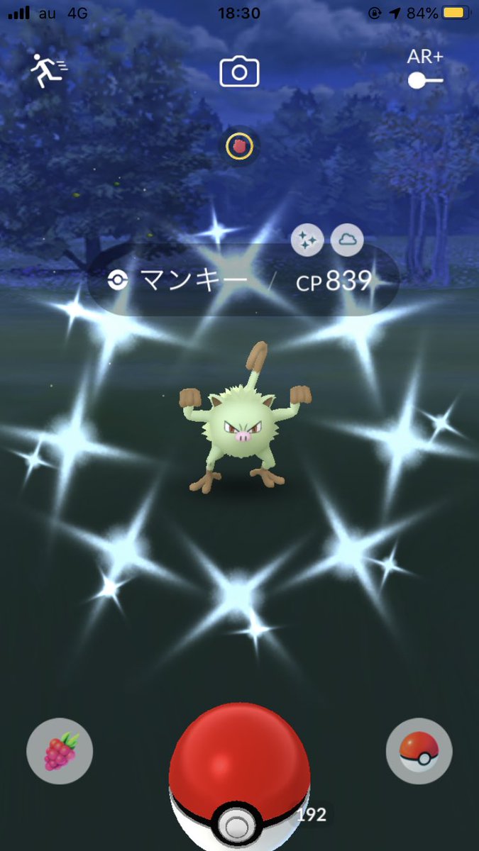 色違いマンキー