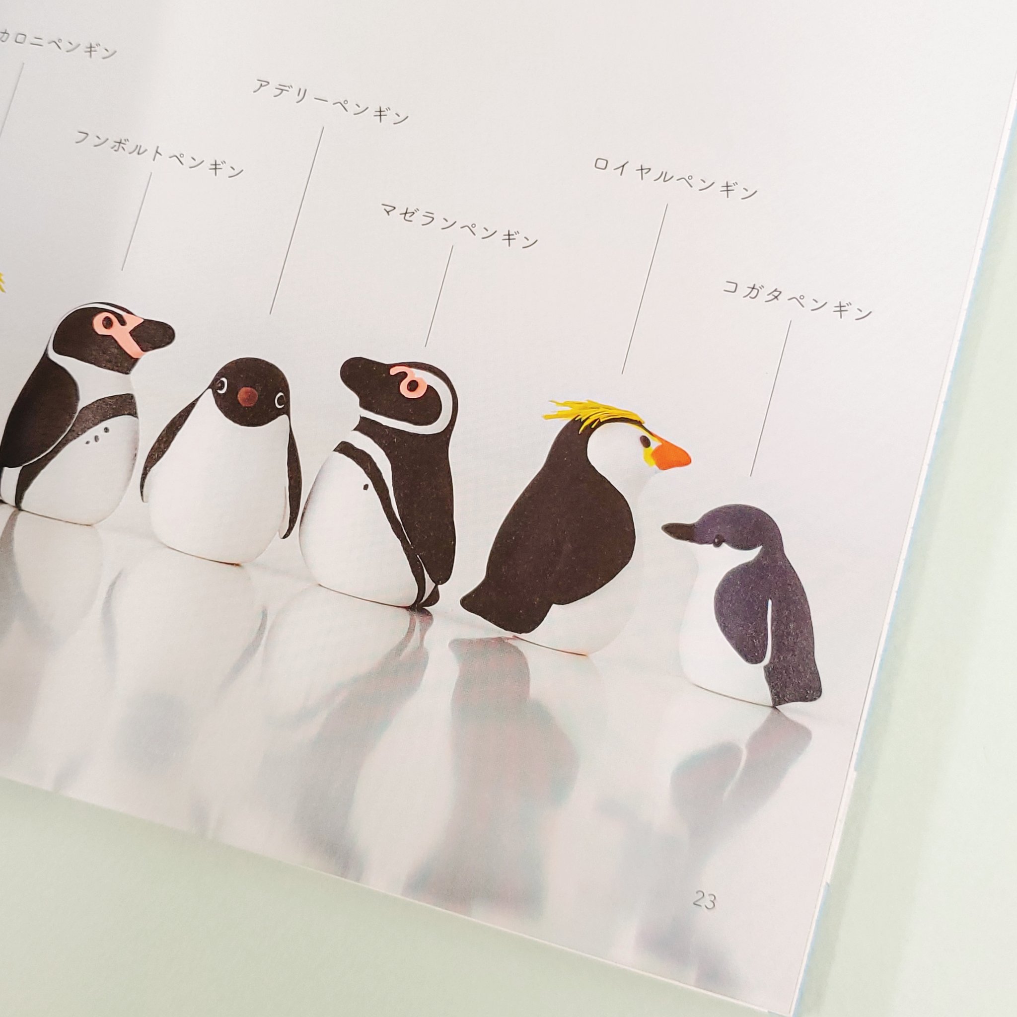 تويتر トゥールズ大阪梅田店 على تويتر 軽量粘土で作るかわいいペンギン 絵の具の塗り方によって 12種類のペンギンが作れちゃいます コロンとしたヒナもいて 見ているだけで癒される 実は カバーを外した表紙もとっても可愛いのです トゥールズ大阪梅田