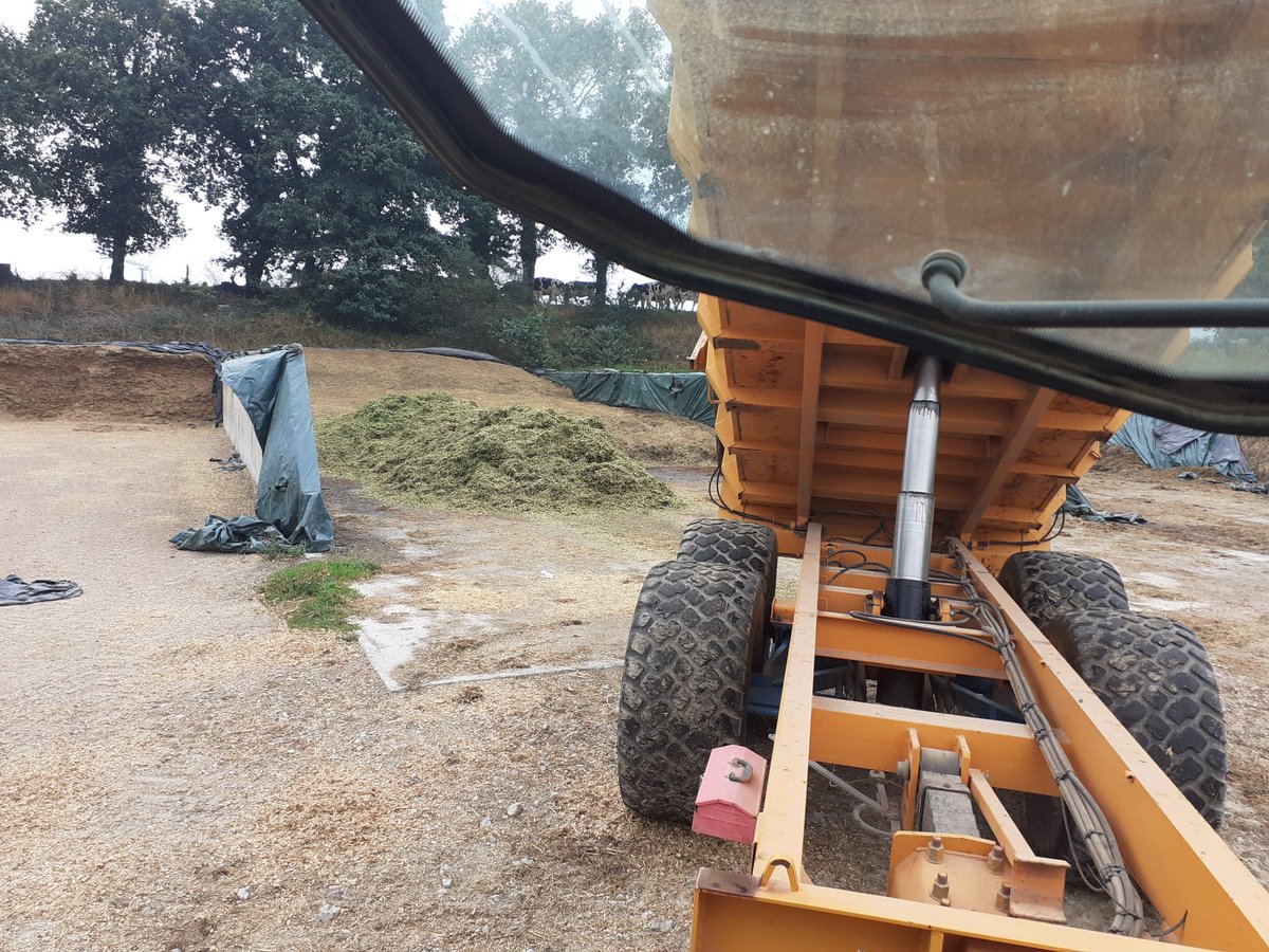 clagaut35's tweet photo. Aujourd'hui c'est ensilage, non non pas de maïs, de l'herbe du Soudan  @phagriculture @Fragritwittos 😁👍 https://t.co/DQMLORFEWA