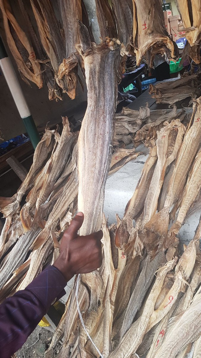 decfarms's tweet photo. @OgbeniDipo Let's help you do your food items shopping at a reasonable and affordable price. Place order for any food items, from the comfort of your home and have them delivered within lagos. Snails, stockfish, frozen food and many other things.
Tel: 09025132784 https://t.co/D4AEBvIgkl