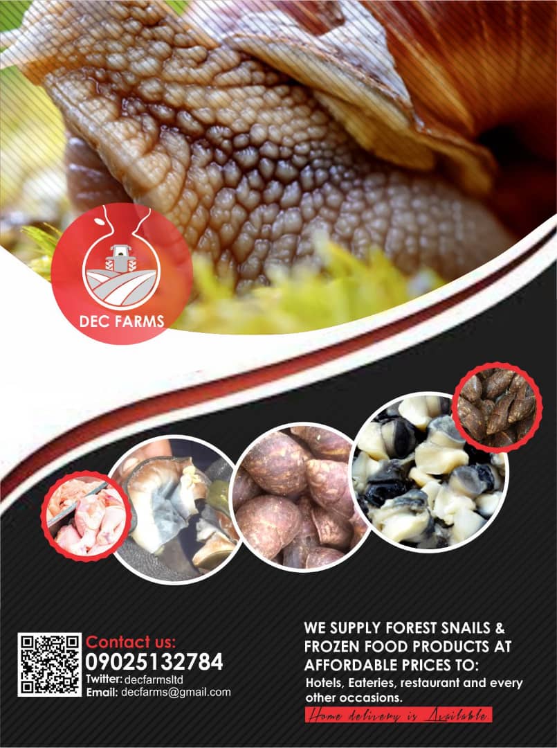 decfarms's tweet photo. @OgbeniDipo Let's help you do your food items shopping at a reasonable and affordable price. Place order for any food items, from the comfort of your home and have them delivered within lagos. Snails, stockfish, frozen food and many other things.
Tel: 09025132784 https://t.co/D4AEBvIgkl