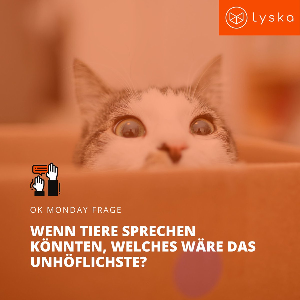 lyskaio's tweet photo. Die Frage beim heutigen #OkMonday hätte eigentlich heißen können: "... welches Tier wäre das unhöflichste und warum die Katze?" 
Ich glaube eher, es handelt sich hierbei um eine kleine Hassliebe... von beiden Seiten.

#lyska #oneteam #newwork #remotefirst https://t.co/J7Wd1bE90p