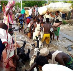 shegainfo's tweet photo. Thinking of flood victims in Afar.
#AfarNeedsHelp
#PrayForAfar
#Ethiopia https://t.co/NLoG43U8kk