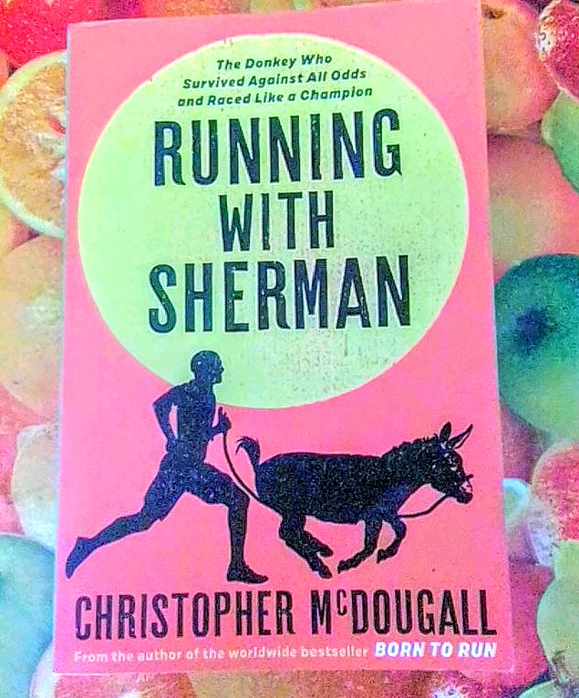 SoweliKwek's tweet photo. I knew very little about donkeys and nothing about #burroracing so #runningwithsherman has been a total revelation to me. @ChrisMcDougall wrote another masterpiece. https://t.co/VSfpvtrYQk