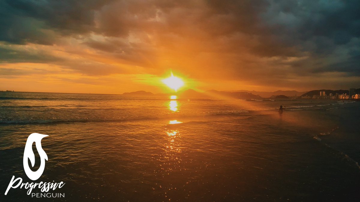 Pretend Penguin / Progressive Penguin tweet media