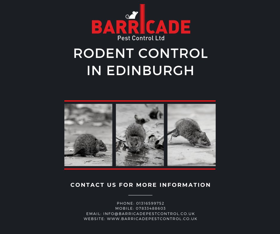 0131 659 9752
info@barricadepestcontrol.co.uk
#edinburgh #pestcontrol #pestcontroledinburgh #mice #rats #rodentcontrol #portobello #gorgie #leith