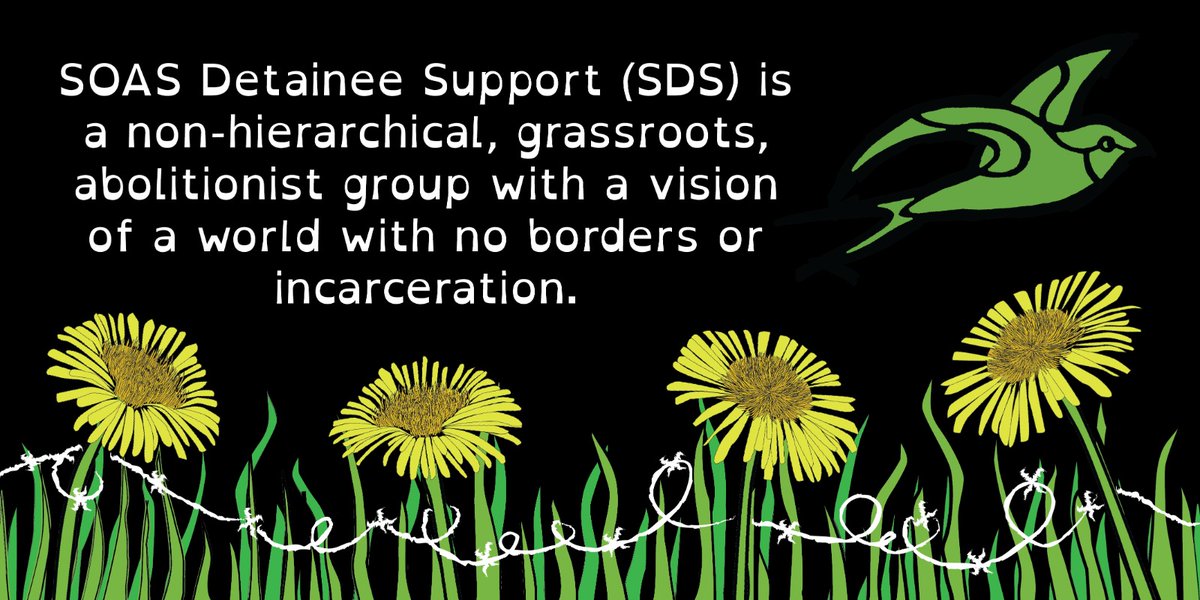 Dandelions and grass growing through barbed wire on black background with fists demonstrating resistance. SDS no border no prison bird flying through image